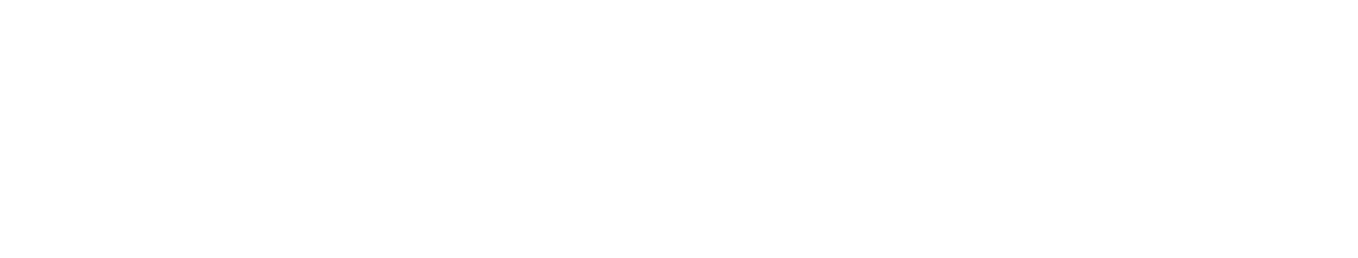 MetaChain Brand