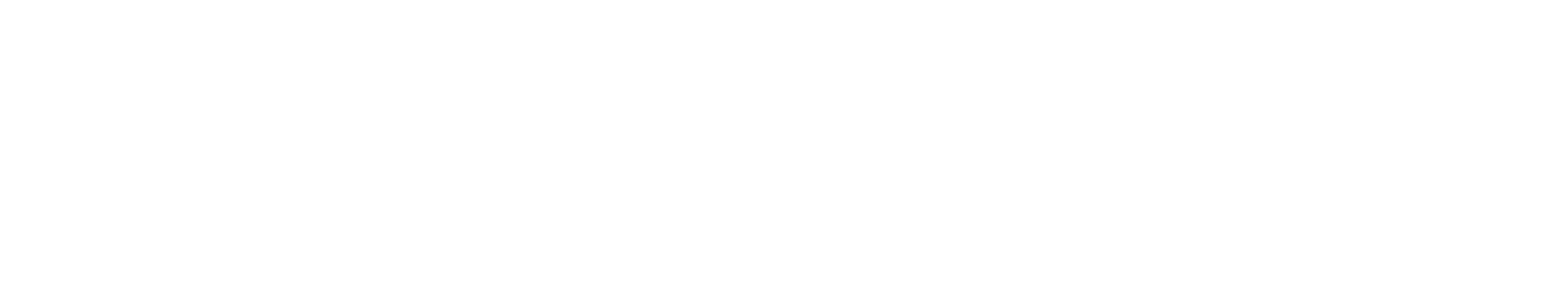MetaWallet Brand
